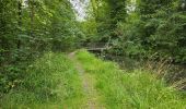 Excursión Senderismo Saint-Hilaire - Saint-Hilaire - Géosite et abri gravé - Photo 3