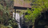 Tour Wandern Baztan - Infernuko errota - le moulin de l'enfer 2024/02/20. - Photo 3