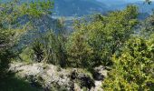 Trail Walking Die - Le Dôme ou Pié Ferré de l'Abbaye Valcroissant - Photo 15