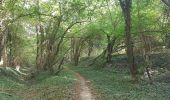 Tour Wandern Eijsden-Margraten - Eijsden - Mesch - Fouron le Comte - -Mheer - Photo 7