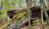 Trail Walking Lemberg - Lemberg - cascade des Ondines - sentiers des grottes et des étangs - Photo 17