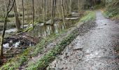Trail Walking Houffalize - Achouffe 12 Km - Photo 12