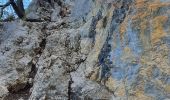 Trail Walking Collonges-sous-Salève - Le Coin-Grottes d'Orjobet-La Corraterie-Grande Gorge-Le Coin - Photo 1