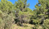 Randonnée Marche Fayence - fayence vallon de la camandre - Photo 9