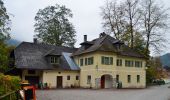 Excursión A pie Lunz am See - Lunz am See, Seehof - Durchlass - Maierhöfen - Photo 1