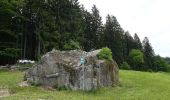 Excursión A pie Bad Schwanberg - Wanderweg 34 - Photo 1