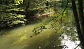 Tour Zu Fuß Schwarzenbruck - Schwarzenbruck Wanderweg No.1 - Photo 2