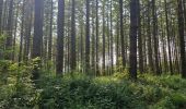 Tour Wandern Somme-Leuze - baillonville à la saison du chèvrefeuille  - Photo 5