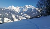 Excursión Raquetas de nieve Manigod - RIONDAZ » ORCIERE - Photo 2