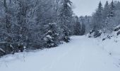 Trail Walking Lans-en-Vercors - vertige des cimes  - Photo 7