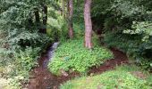 Randonnée Marche Anthisnes - qwadrifyon entre la rock, sparmont et bloquay - Photo 6