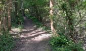 Trail Walking Entraigues-sur-la-Sorgue - BALLADE AUTOUR D ENTRAIGUES SUR LA SORGUE , ECLUSES ET CASCADE - Photo 3