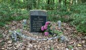 Randonnée Marche Aubange - Bois d’Halanzy et réserve du crassier - Photo 12