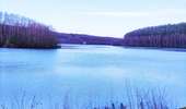 Randonnée Marche Couvin - Balade familiale autour du barrage du Ry de Rome - Photo 2