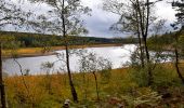 Trail Walking Eupen - 20231022 - HUWAO Barrage Eupen - 7.6 Km - Photo 3