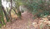 Trail Walking Lacanau - Martine  - Photo 5