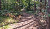 Tocht Stappen Fontainebleau - Sentier Denecourt 3 - Photo 19