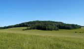 Trail On foot Ralsko - [Ž] Jelení Vrch - Brennský mlýn - Photo 2