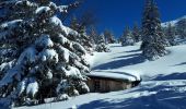 Randonnée Raquettes à neige Corrençon-en-Vercors - Cabane de la Goupette en circuit au départ de Corrençon-en-Vercors - Photo 5