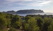 Trail Walking Cassis - Cassis / Luminy - Photo 3