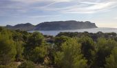 Tocht Stappen Cassis - Cassis / Luminy - Photo 3