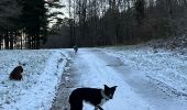 Randonnée Marche Neufchâteau - Hosseuse 4,2 km  - Photo 8