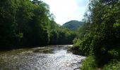 Trail On foot Houyet - GrWandArdRiv27: Gendron: een prachtig stuk Beneden-Lesse (PVDB) - Photo 4