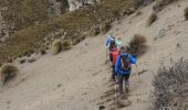 Tour Wandern San Andrés - trek Equateur jour 2 - Photo 15