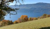 Tour Wandern Aix-les-Bains - bois de corset-La Chambotte - Photo 1