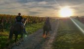 Trail Horseback riding Kaysersberg-Vignoble - 2019-10-26 CDTE67 Tournage Video Promotion TE - Photo 7