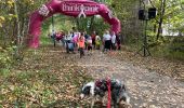 Tocht Stappen Bastenaken - Race for the cure Bastogne 2022  - Photo 1