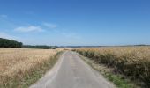 Randonnée Marche Anhée - Boucle de 11 km au départ de Warnant - Photo 5