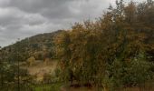 Tour Wandern Riemst - jour de ras le bol et de temps de merde  - Photo 1