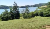 Trail Horseback riding Saugeot - Jura 3 - Photo 2