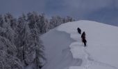 Tocht Sneeuwschoenen La Bollène-Vésubie - Col de Turini a la pointe des 3 communes - Photo 1