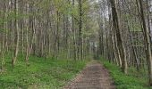 Tour Zu Fuß Unterbreizbach - Keltenpfad - Photo 6