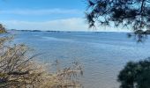 Trail Walking Sarzeau - PR_56_Sarzeau_GA_07_Regards-Sur-Le-Golfe_Circuit1b_20240310 - Photo 10
