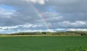 Tocht Stappen Genepiën - Bousval  - Photo 2