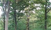 Tour Wandern Anthisnes - hody . hestreux . targnon . hody - Photo 5