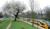 Tour Zu Fuß Renkum - Groene Wissel: Oosterbeek 066 - Photo 4