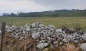 Trail Walking Pradelles - Tour sommets live de Pradelles  - Photo 8
