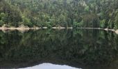 Trail Walking Mittlach - Mittlach  - Photo 1