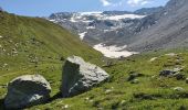 Tour Wandern Pralognan-la-Vanoise - col d'Aussois et pointe de l'Observatoire - Photo 7