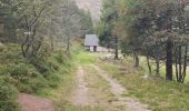 Tocht Stappen Orbey - rdpr 20200924 col du wettstein - Photo 4