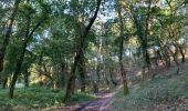 Trail Walking Vendays-Montalivet - Vendayes Montalivet CHM tour forêt des Abits et Crohots Nègre - Photo 3