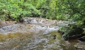 Tour Wandern Weismes - Robert ville barrage - Photo 10