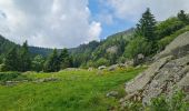 Trail Walking Soultzeren - Rando des APAVIENS..28/06/2024 - Photo 2