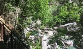 Randonnée Marche Aiguines - Gorges du Verdon - Sentier de l'Imbut - Photo 19