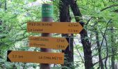 Trail Walking Prévenchères - GORGES DU CHASSEZAC DEPUIS LA GARDE- GUERIN - Photo 17