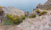 Randonnée Marche Erquy - LE CAP D'ERQUY DEPUIS LE CAMPING LA VALLEE - Photo 17